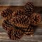 Cinnamon Pine Cones Scented - 50 Pieces Large 3-5 inches - Cinnamon Pinecones Decor - Rustic Christmas Decor - Pinecones - Pine Cone Ornaments - Pinecones for Crafts